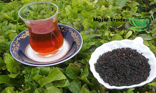 نکات لازم جهت خرید چای ایرانی